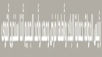 محمد بن زايد يؤكد قوة الإمارات وصلابتها في مواجهة التحديات